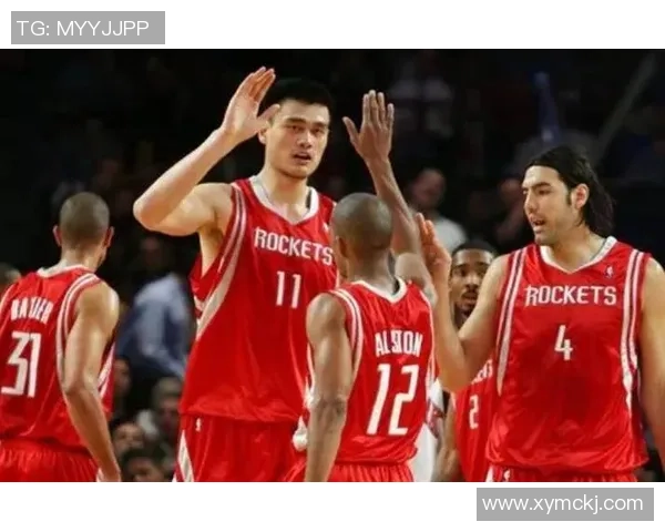 姚明头号黑子揭秘背后故事与篮球圈的恩怨情仇